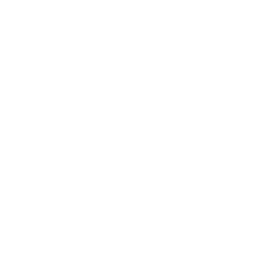 Logo F90